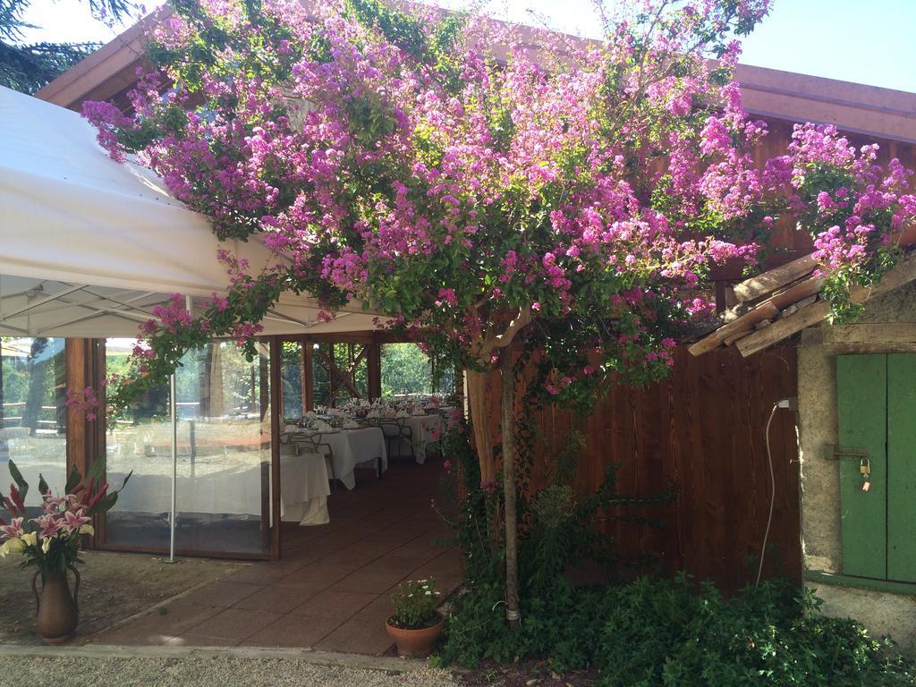 Вілла Agriturismo Ristorante Albachiara Carpeneto Екстер'єр фото